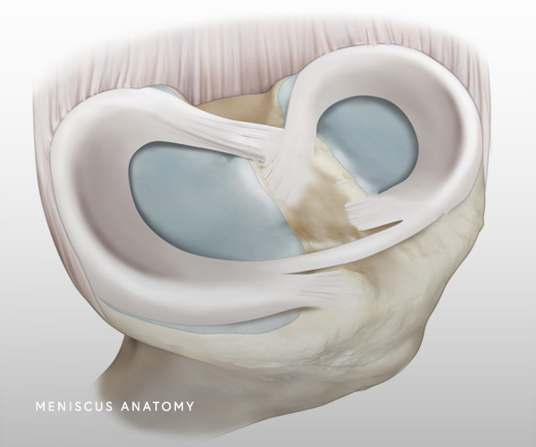 Meniscus Injuries Chicago Il Jorge Chahla Md